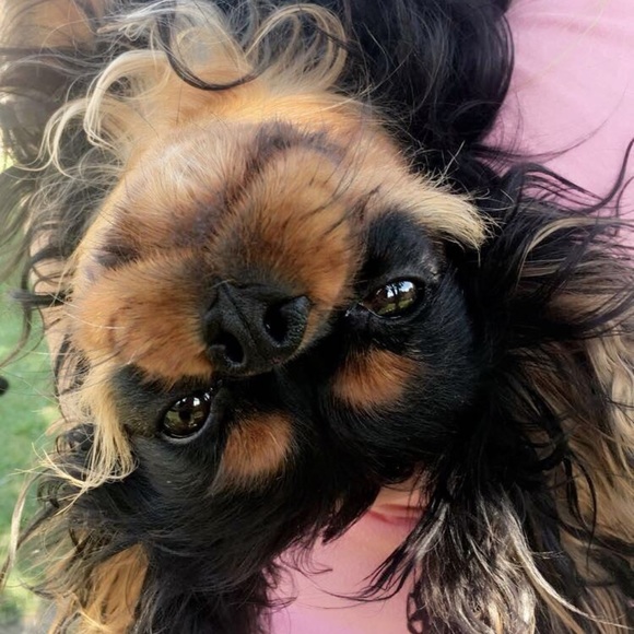 Meet your Posher, Cindy - Picture 5 of 10